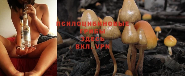 2c-b Вязьма